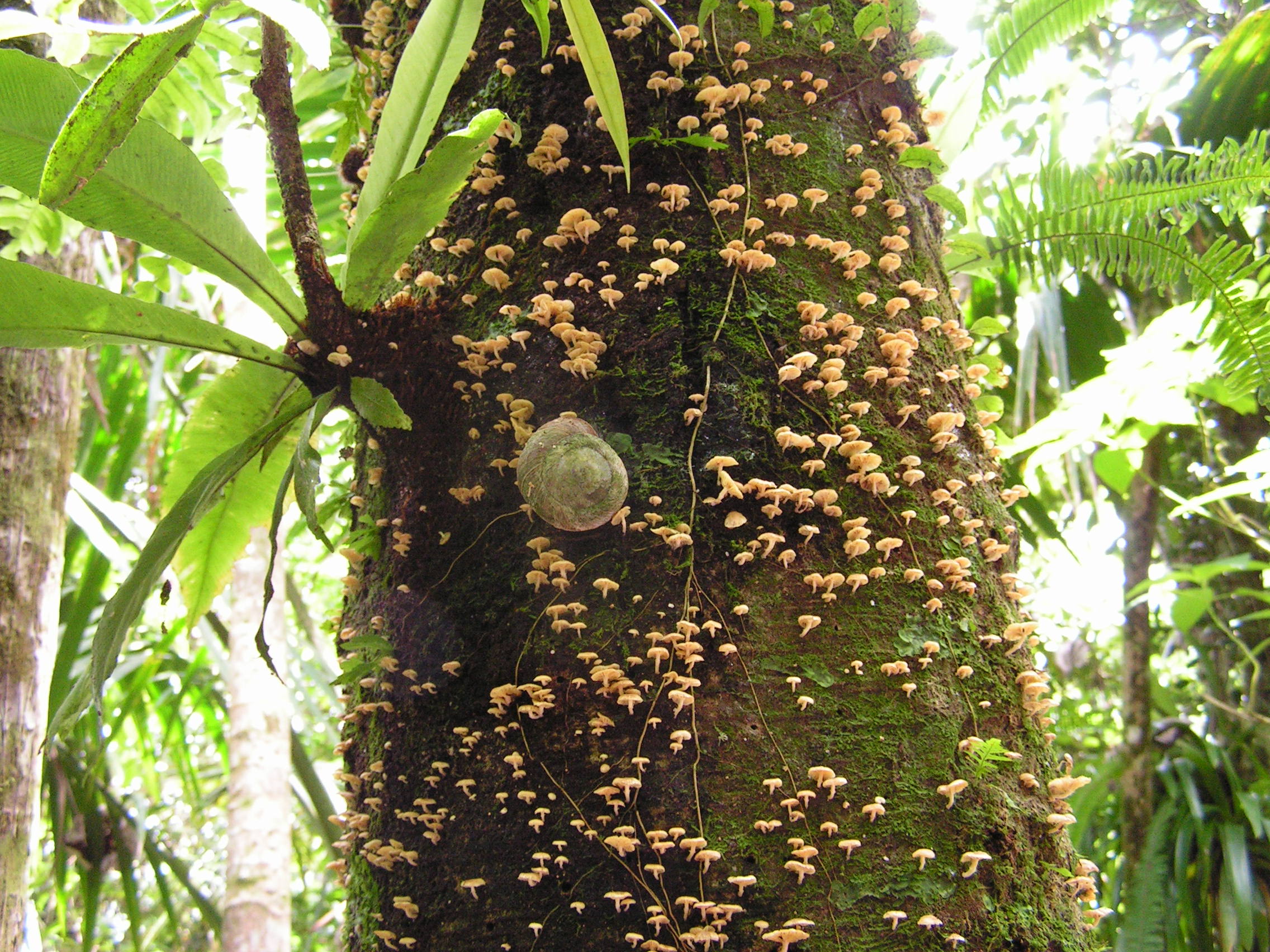 ./2005/Puerto Rico/Part 1/PICT0102.JPG